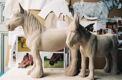Mammifères — 50 cm Mus e du Baudet du Poitou fi11122359