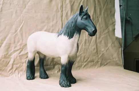 Mammifères — 50 cm Mus e du Baudet du Poitou 3 fi11122354