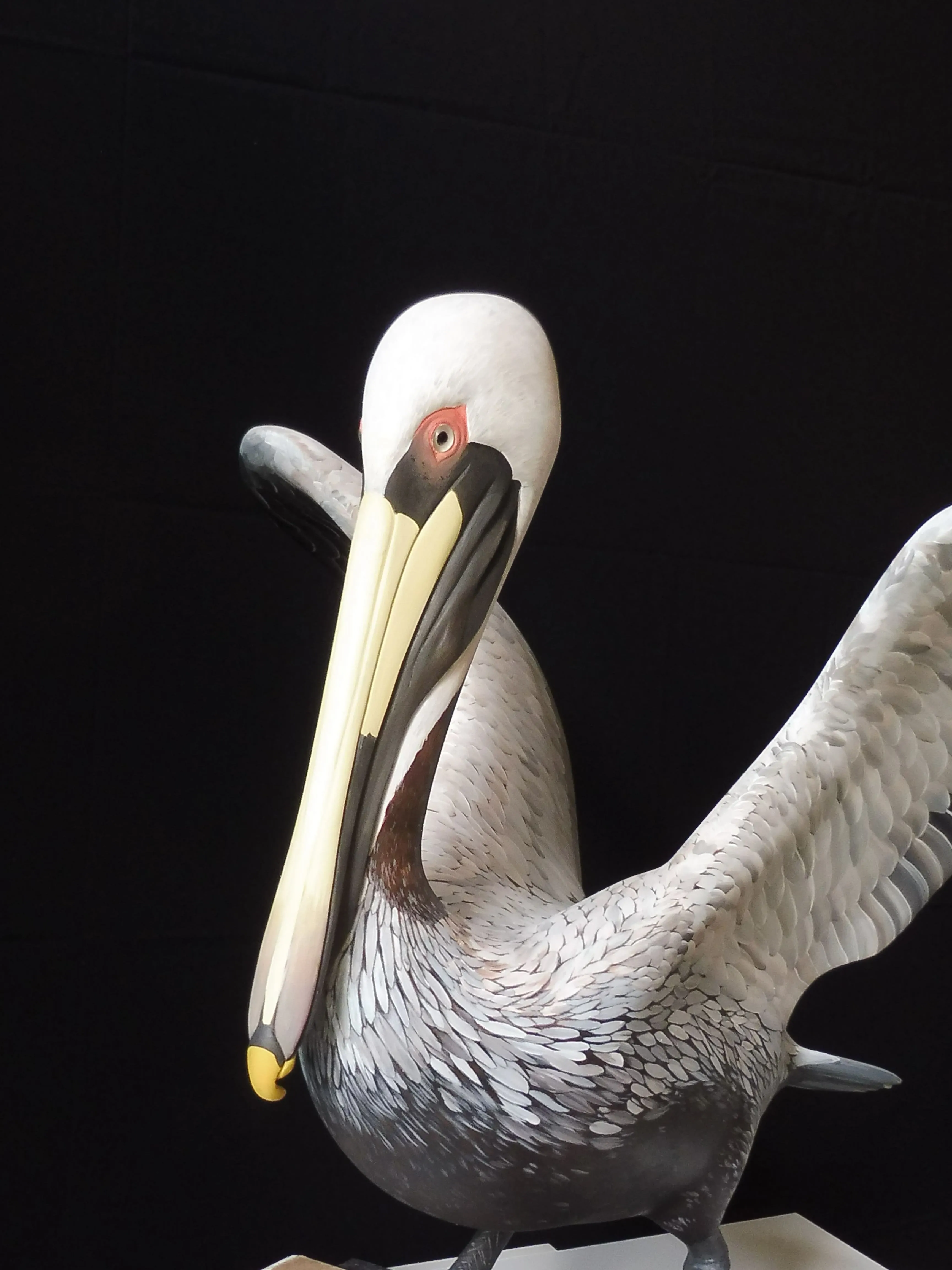 Oiseaux — P1030034