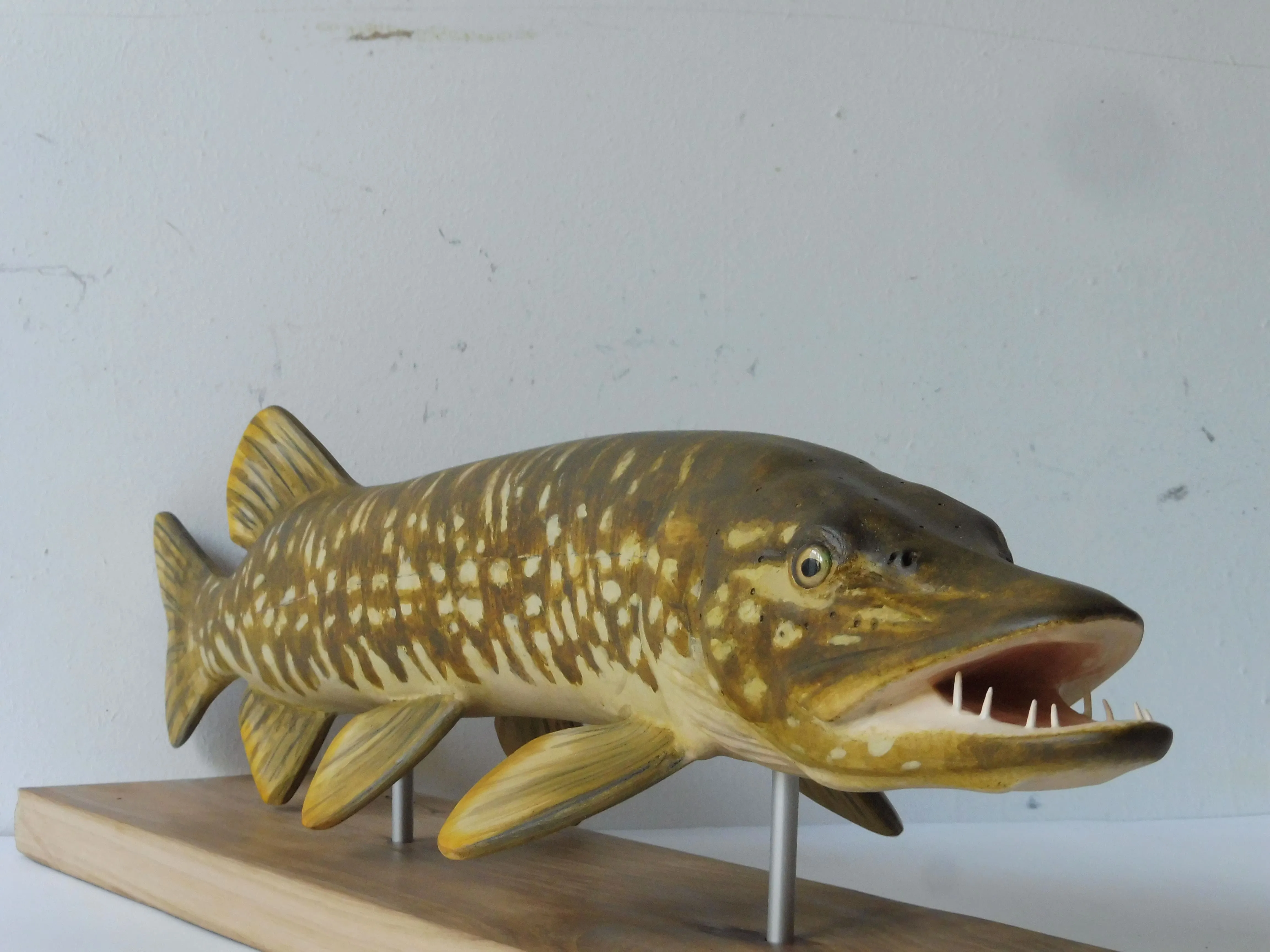 Poissons — P1030287