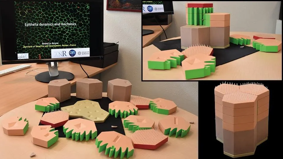 Maquettes — Visuel actu Roland