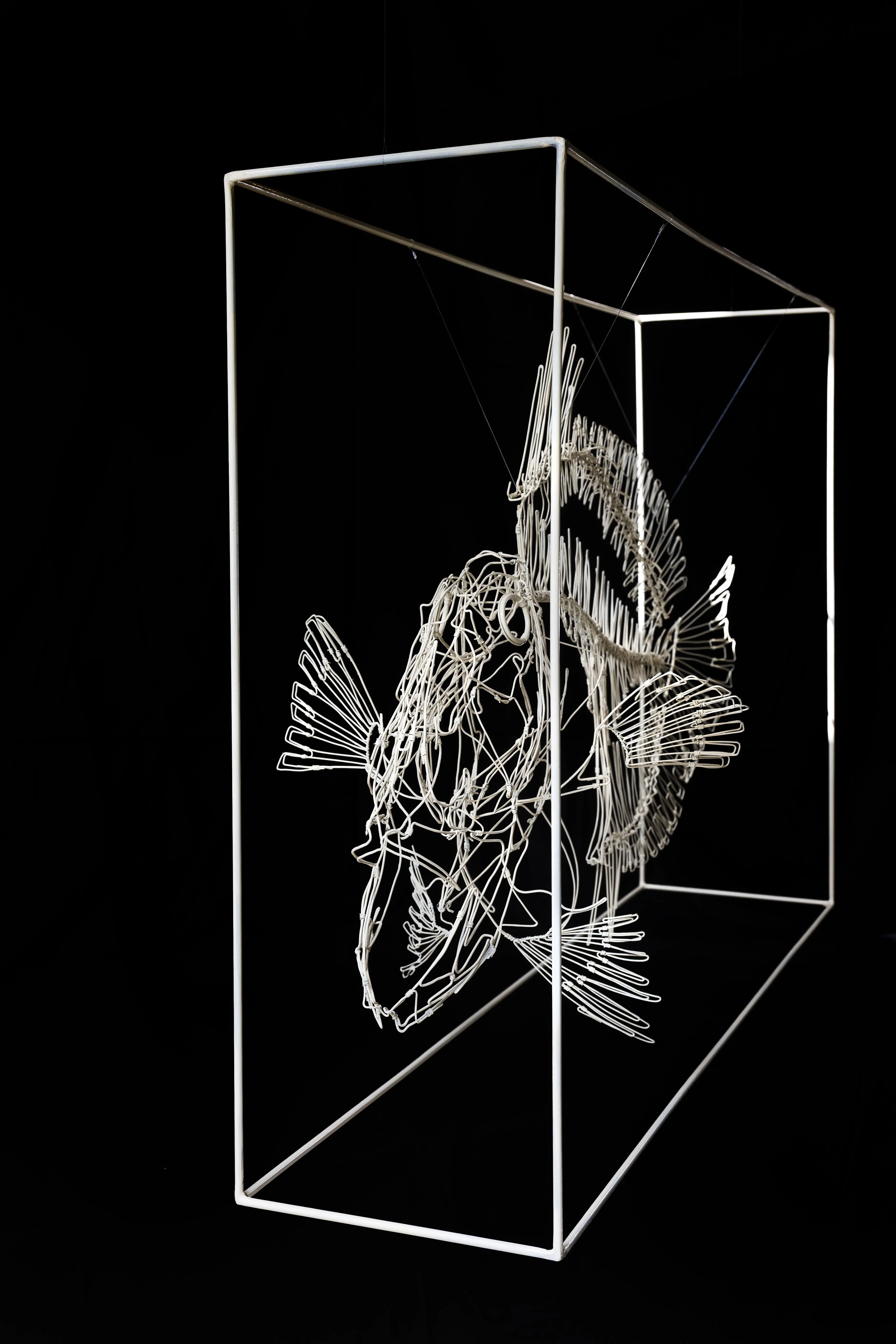Créations — michelle cainjo hd06