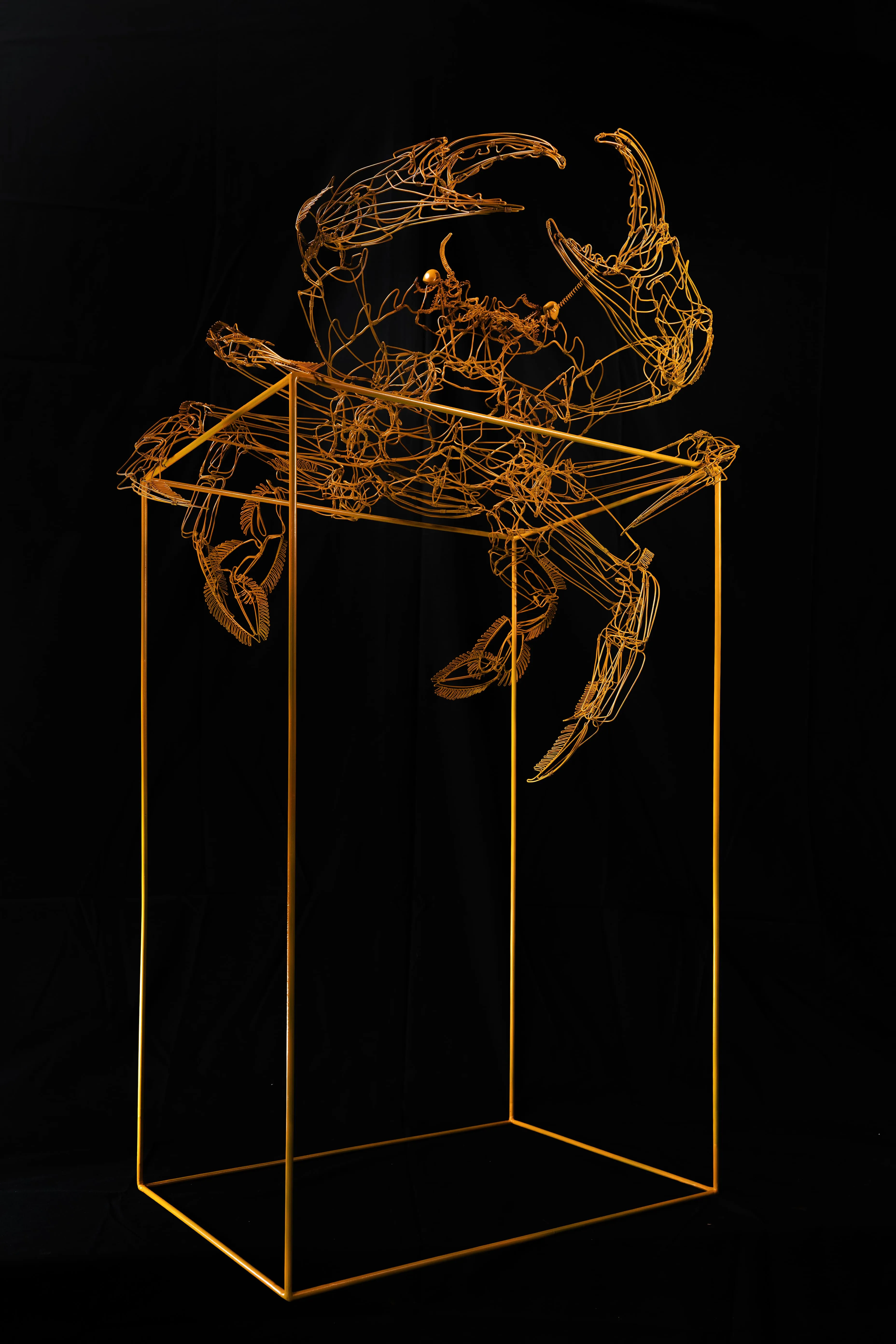 Créations — michelle cainjo hd12