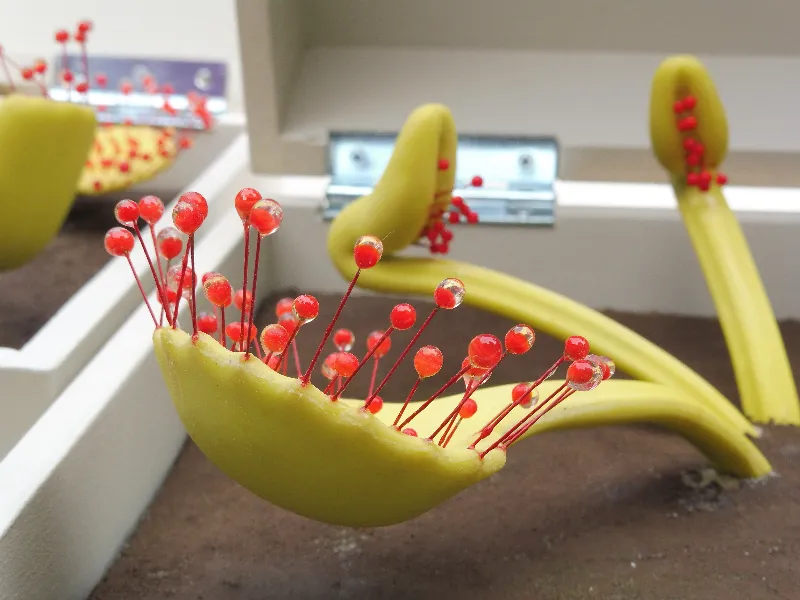 Maquettes — predre (6) fi11545298